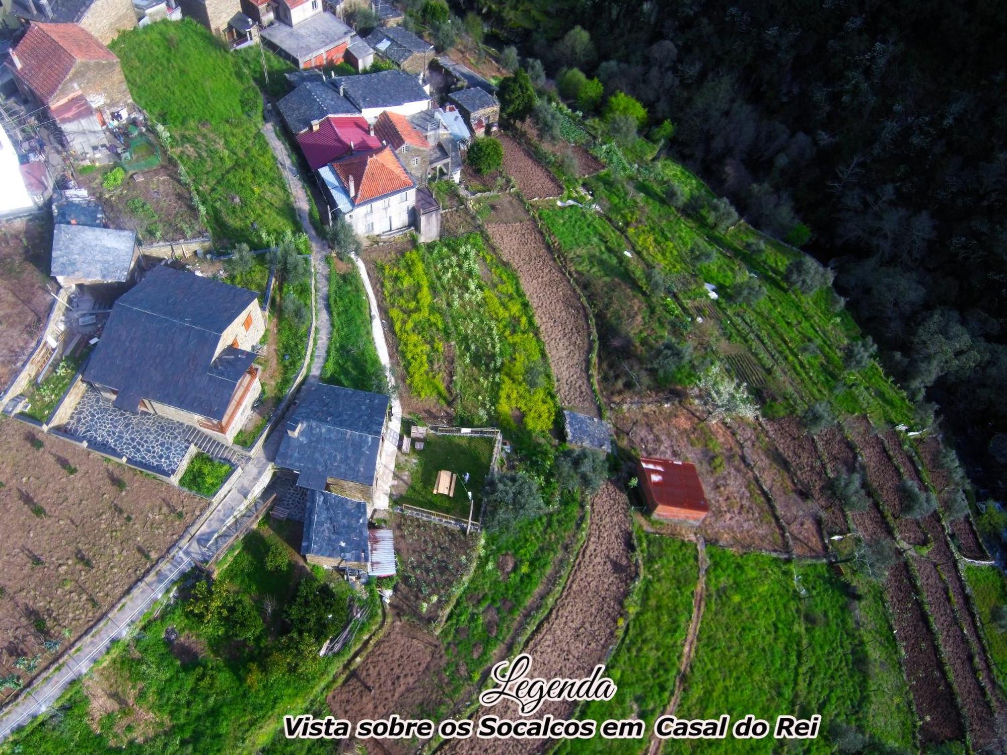 Casa Do Salgueirinho Βίλα Casal do Rei  Εξωτερικό φωτογραφία