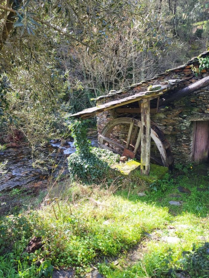 Casa Do Salgueirinho Βίλα Casal do Rei  Εξωτερικό φωτογραφία